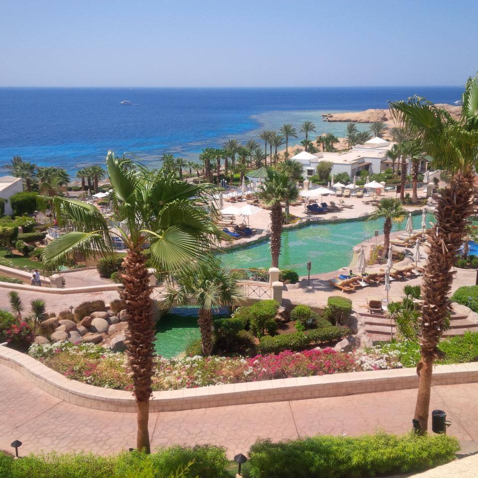 11_Sunny_Side_Up_Sharm_Resort_with_Palms_and_Sea